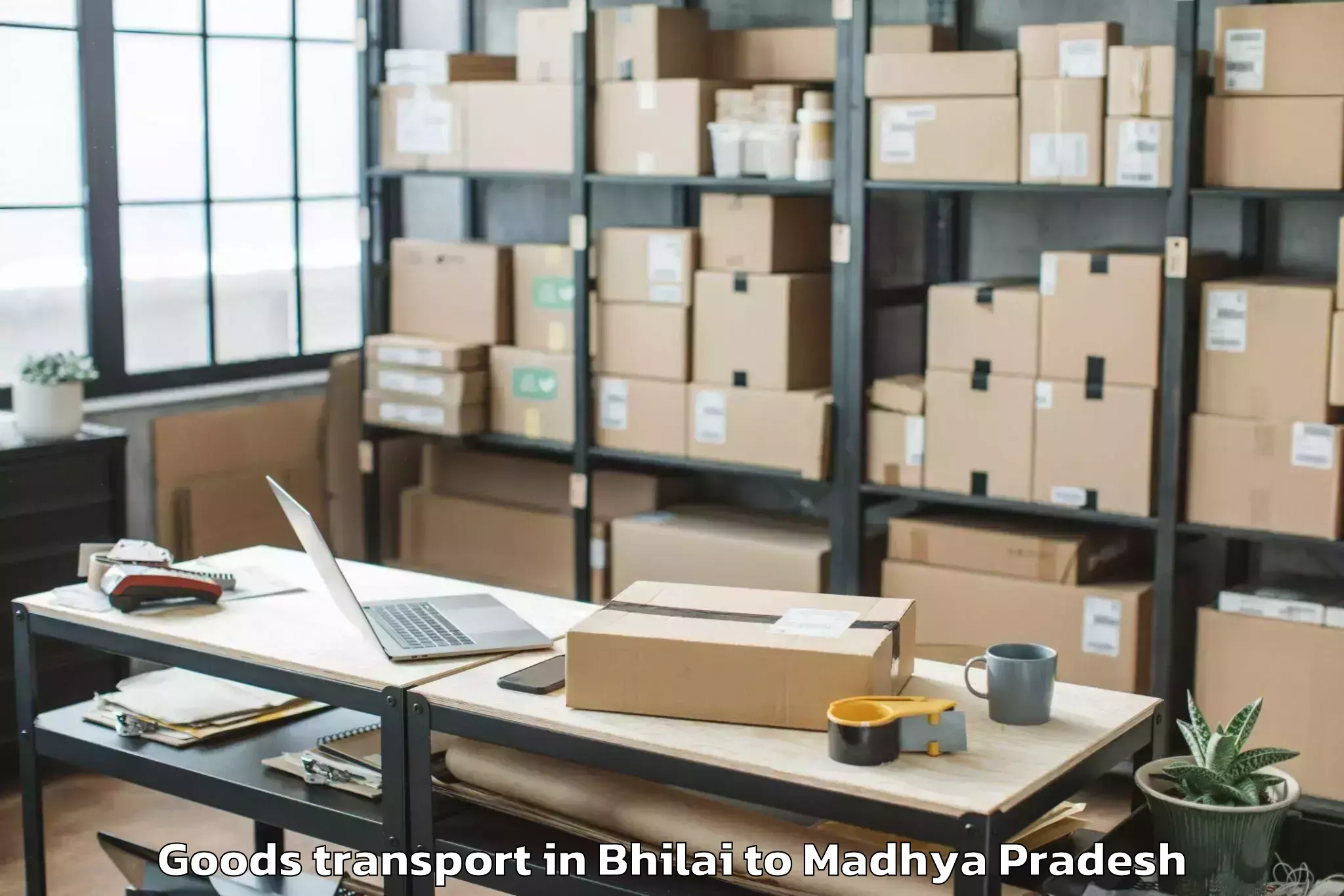 Discover Bhilai to Biaora Goods Transport